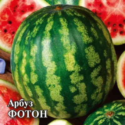Арбуз Фотон 10шт фасовка