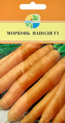 Морковь Наполи F1 АКВАРЕЛЬ Морковь Наполи F1 АКВАРЕЛЬ
