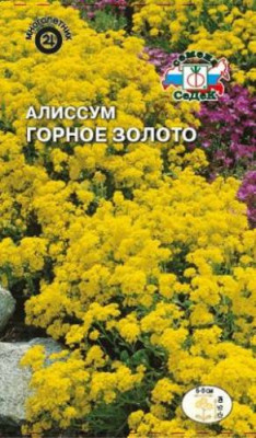 Алиссум Горное Золото (многол.)