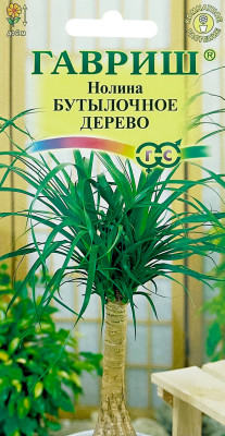 Нолина Бутылочное дерево 3шт