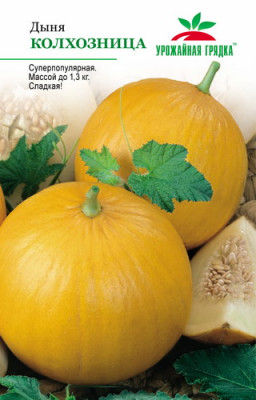 Дыня Колхозница УГ