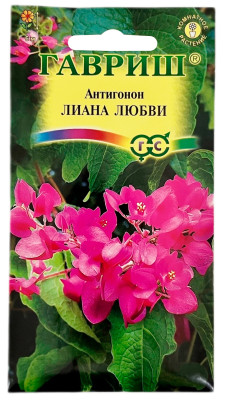 Антигонон Лиана любви ГАВРИШ