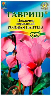 Цикламен персидский Розовая пантера ГАВРИШ