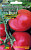 Томат Монгольский карлик 10шт