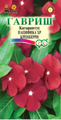 Катарантус Пацифика XP Кренберри 5шт Элитная клумба Катарантус Пацифика XP Кренберри 5шт Элитная клумба