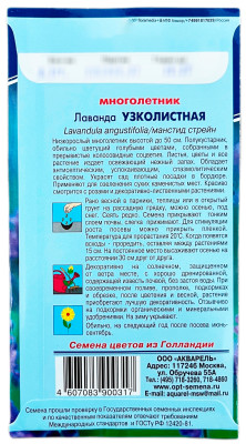 Лаванда Узколистная АКВАРЕЛЬ описание