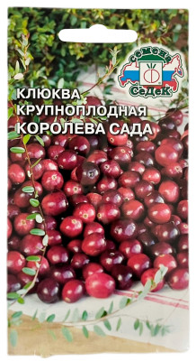 Клюква крупноплодная КОРОЛЕВА САДА СеДеК