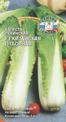 Капуста пекинская Китайская отборная F1