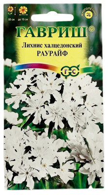 Лихнис халцедонский РАУРАЙФ ГАВРИШ