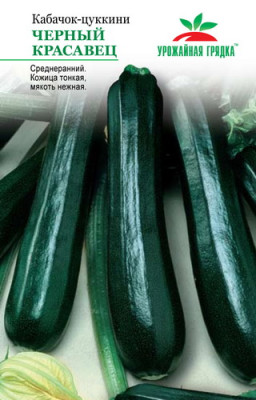 Кабачок Черный красавец УГ