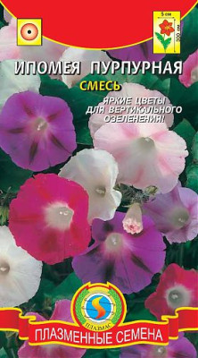 Ипомея Пурпурная смесь* 1 г.