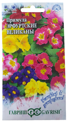 Примула Эрфуртские великаны 20шт. Примула Эрфуртские великаны 20шт.