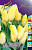 Тюльпан Г.Д. Геншер (1шт) 3335