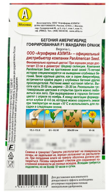 Бегония америгибрид гофрированная F1 МАНДАРИН ОРАНЖ АЭЛИТА описание