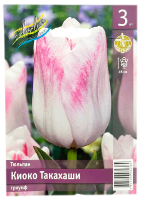 Тюльпан КИОКО ТАКАХАШИ триумф