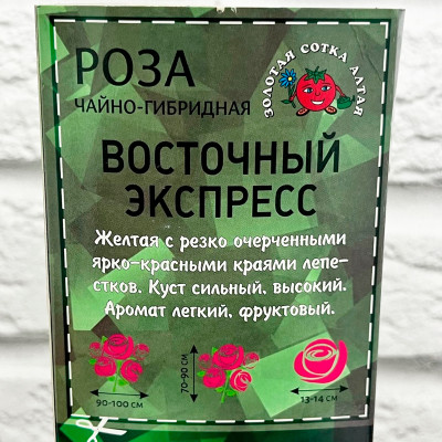 Роза чайно-гибридная ВОСТОЧНЫЙ ЭКСПРЕСС описание