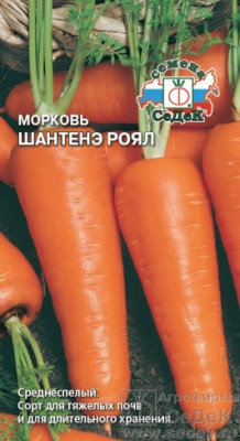 Морковь Шантанэ Роял Морковь Шантанэ Роял