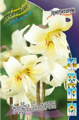 Эритрониум Уайт Бьюти (5шт) 47