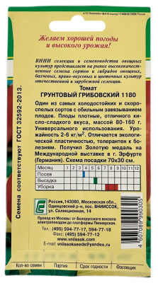 Томат ГРУНТОВЫЙ ГРИБОВСКИЙ 1180 ВНИИССОК описание