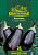 Баклажан Бегемот F1, серия Юбилейный 25 шт. (большой пакет) Баклажан Бегемот F1, серия Юбилейный 25 шт. (большой пакет)