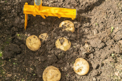 Культиватор-картофелекопатель Торнадо 1050мм 