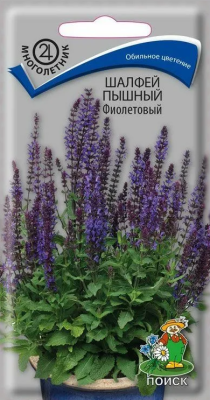 Шалфей Фиолетовый (дубравный) 0,1г