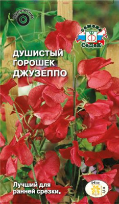 Душистый Горошек Джузеппе