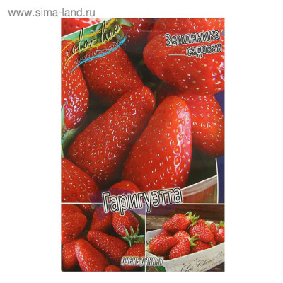 Земляника (Клубника) Гаригуэтта (5 шт)