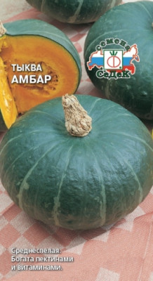 тыква Амбар