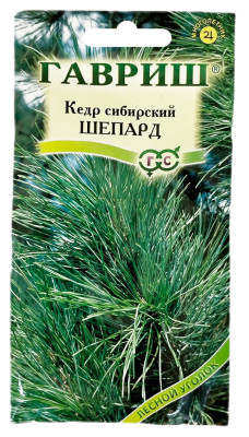 Кедр сибирский сосна кедровая сибирская ШЕПАРД ГАВРИШ