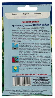 Хризантема КРЕЙЗИ ДЕЙЗИ АКВАРЕЛЬ описание