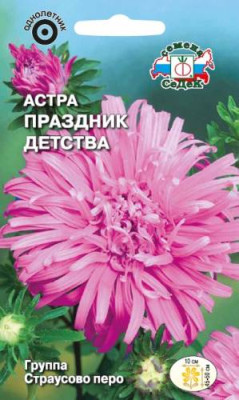 Астра Праздник детства страусовое перо (сиреневая)