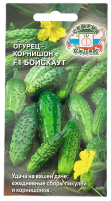 Огурец корнишон F1 БОЙСКАУТ СеДеК