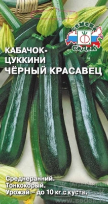 кабачок Черный красавец (Евро, 2)