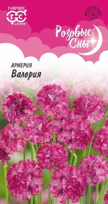 Армерия Валерия (приморская) 0,02г серия Розовые сны