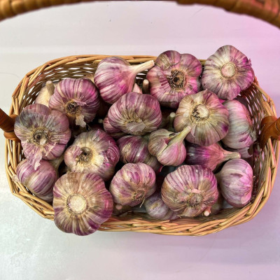 Чеснок головка Юбилейный Грибовский озимый (калибр 5) 1кг