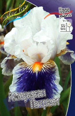 Ирис Германский Американ Пэтриот (1шт) 4686