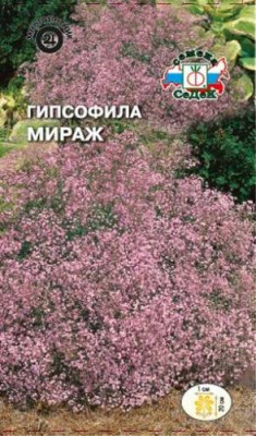 Гипсофила Мираж ползучая розовая