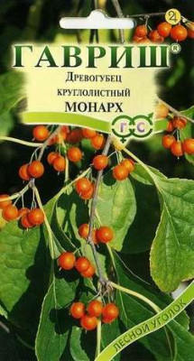 Древогубец круглолистный 0,2 г