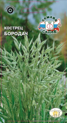 Кострец Бородач (\бромус\, сухоцвет) (Евро, 0,2)