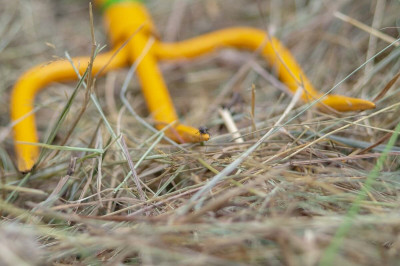 Вилы садовые 3 зубые Торнадо