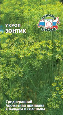 укроп Зонтик