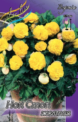 Бегония Нон Стоп Желтая (1шт) 2739