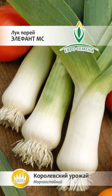 Лук порей Элефант МС 