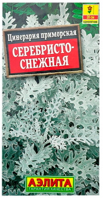 Цинерария приморская СЕРЕБРИСТО-СНЕЖНАЯ АЭЛИТА
