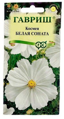Космея Белая соната ГАВРИШ