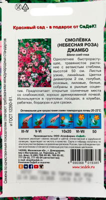 СМОЛЕВКА ДЖАМБО СеДеК описание