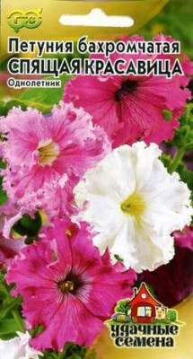 Петуния Спящая красавица бахр.* 20 шт. Уд. с.