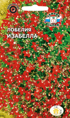 Лобелия Изабелла (ампельная, красная) (Евро, 0,03)