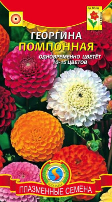 Георгина Помпонная, смесь* 12 шт.